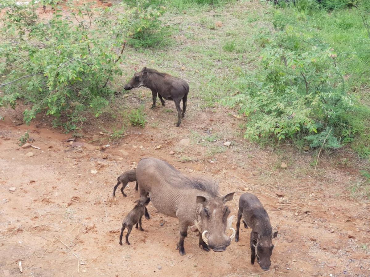 636 Itaga Safari Lodge, Mabalingwe Nature Reserve Mabula Game Reserve Extérieur photo