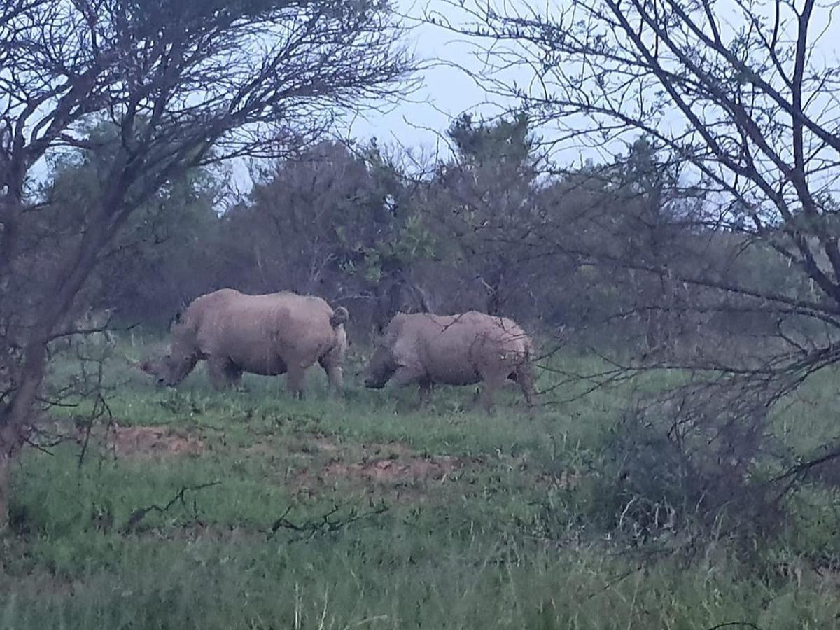 636 Itaga Safari Lodge, Mabalingwe Nature Reserve Mabula Game Reserve Extérieur photo
